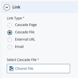 Cascade internal file link