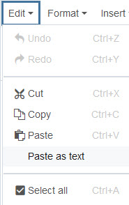 WYSIWYG paste as text