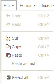 WYSIWYG paste as text